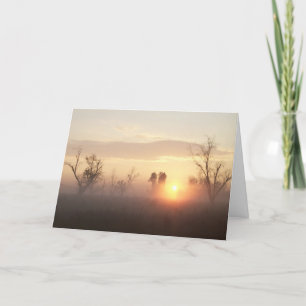 Condoléances / Carte de sympathie