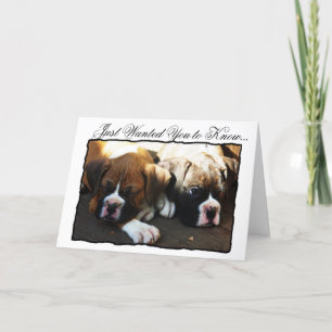Condolences Chiots Boxer carte de voeux