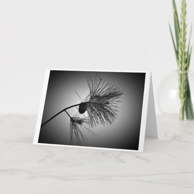 Cône de pin sur la branche - Noir, carte (Devant)