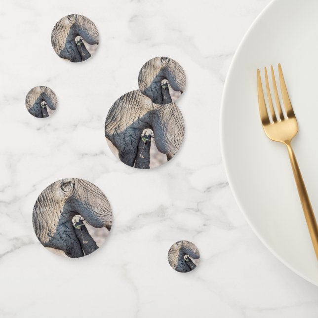 Confettis Alimentation des éléphants (Groupe)