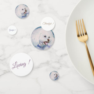 Confettis Anniversaire des chiots blancs Bichon Frise