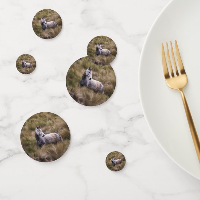 Confettis Beau cheval gris couleur (Groupe)