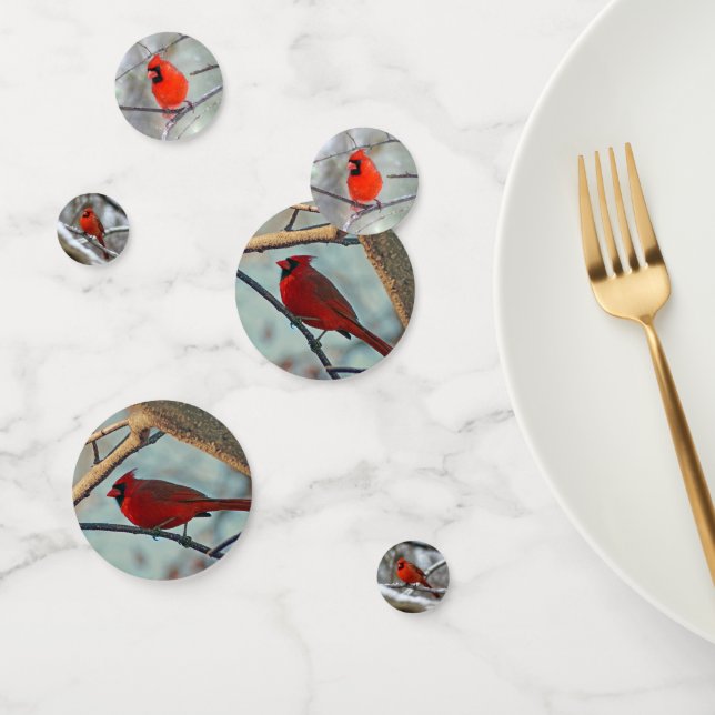 Confettis Cardinal masculin (Groupe)