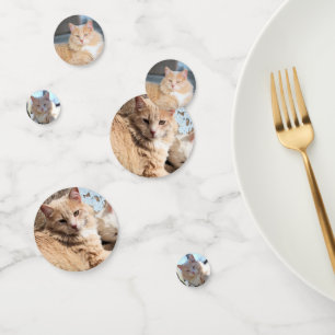 Confettis Cat