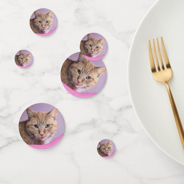 Confettis Cat (Groupe)