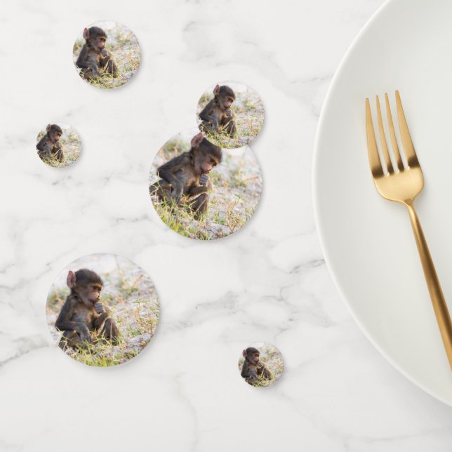 Confettis Jeune Baboon (Groupe)