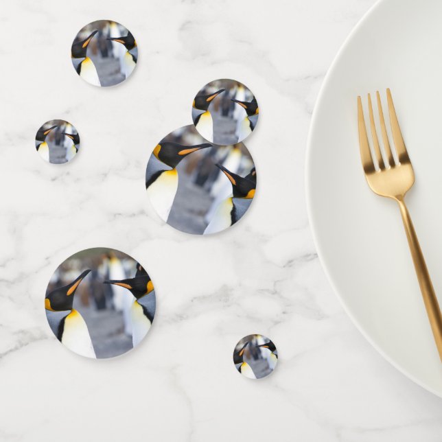 Confettis King Penguins (Groupe)