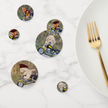 Ours en peluche motard et chien  -