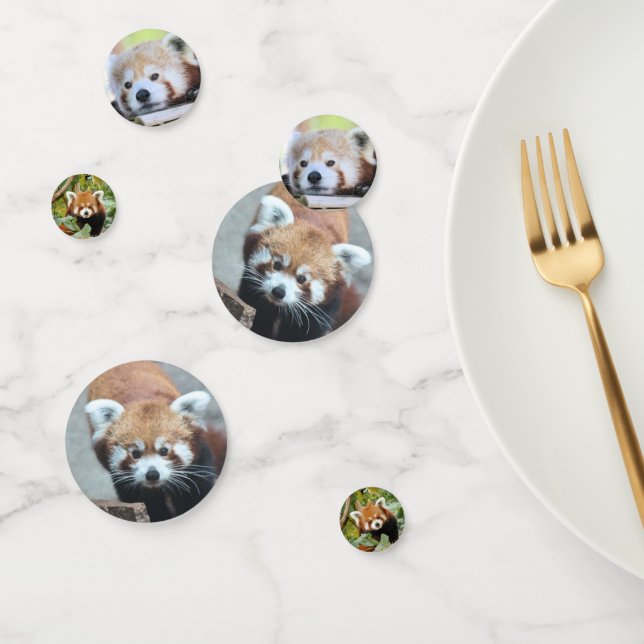 Confettis Panda rouge (Groupe)