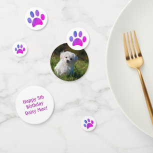 Confettis Photo pour animaux de compagnie Violet rose Emprei