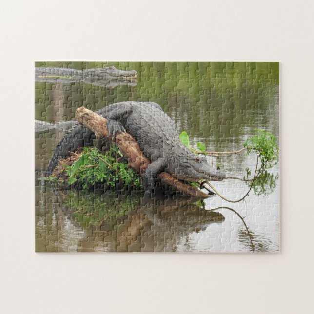 Confortable Gator Puzzle (Horizontal)