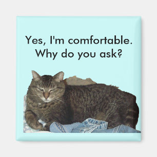 Confortable sur lave-linge aimant chat