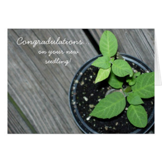 Congradulations !