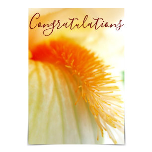 "Congratulations": carte Iris Aiguillée