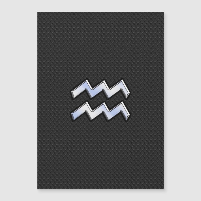 Connexion moderne Silver Aquarius Zodiac Snake (Devant)