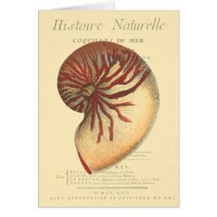 Conque rouge vintage Shell