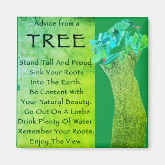 Conseil d'un aimant d'arbre