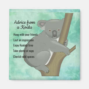 Conseil d'un aimant Koala Design