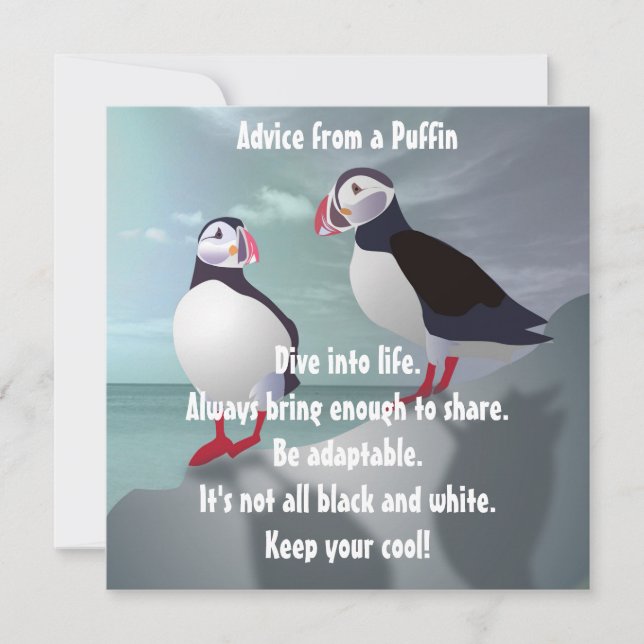 Conseil d'une carte à plat Puffin Design (Devant)