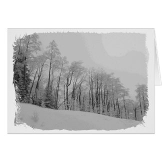 Conseils blancs neigeux