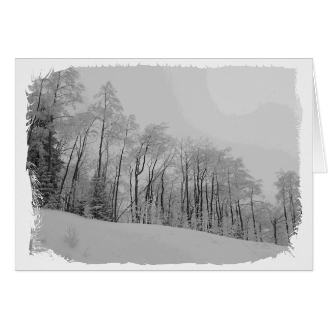 Conseils blancs neigeux (Devant horizontal)