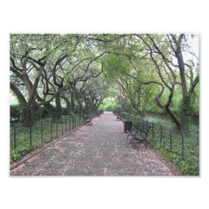 Conservatory Garden Central Park NYC Photographie