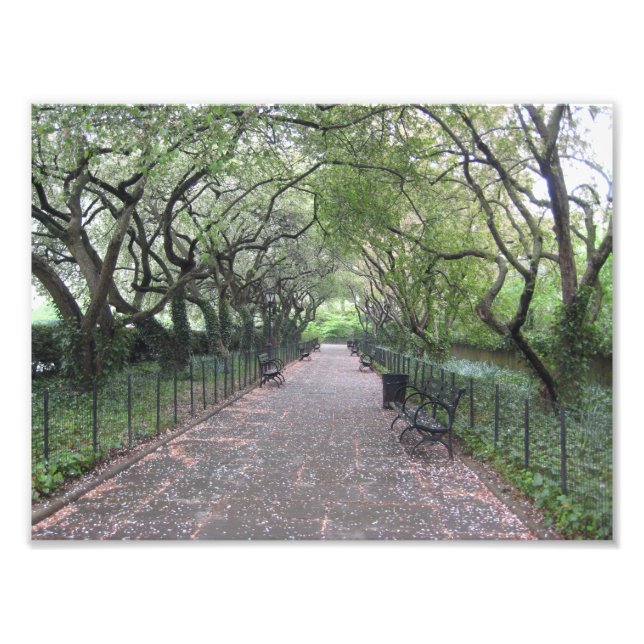 Conservatory Garden Central Park NYC Photographie (Devant)