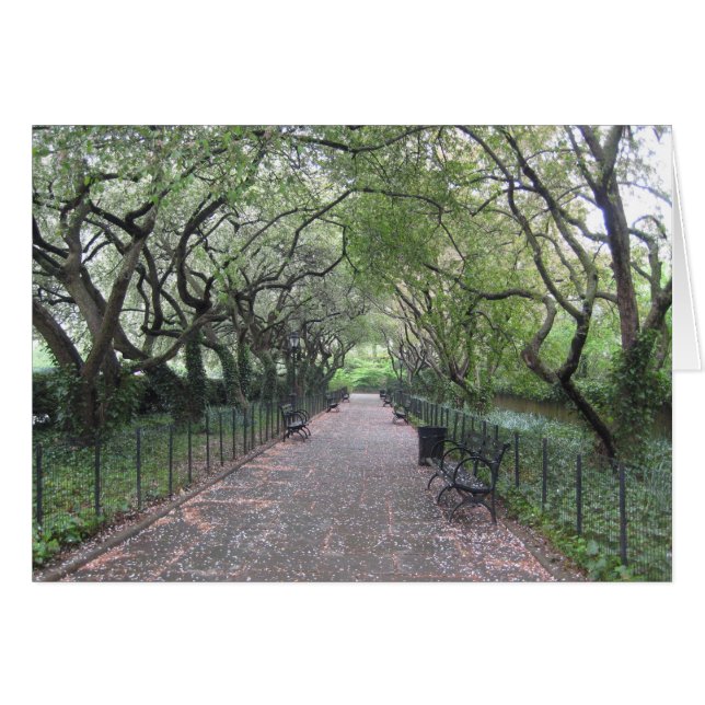 Conservatory Garden Central Park NYC Photographie (Devant Horizontal)