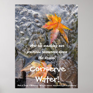 Conserve Water! Poster