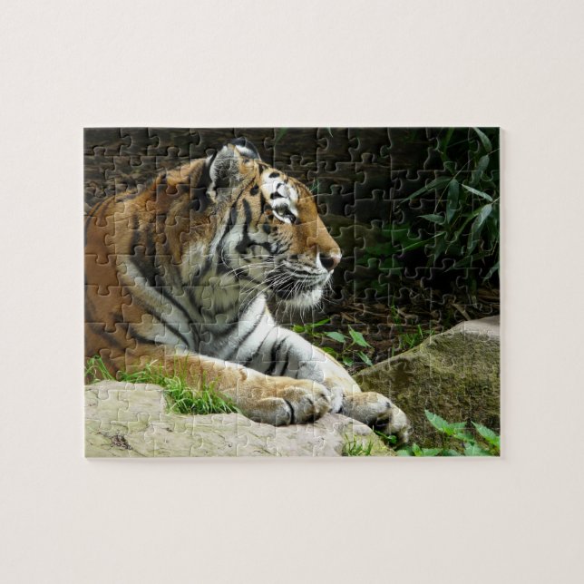 Considérer le puzzle de tigre (Horizontal)