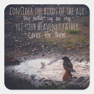 Considérons les oiseaux des stickers aériens