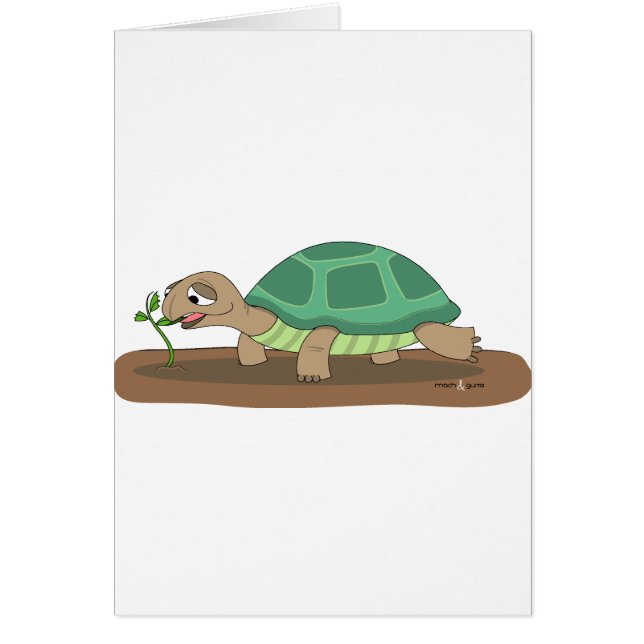 Consommation de tortue (Devant)
