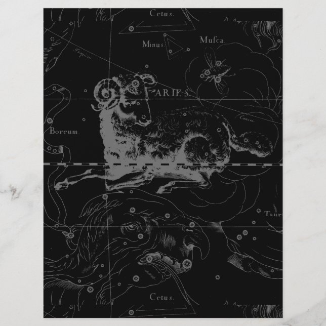 Constellation de la Vierge stylée par Hevelius (Devant)