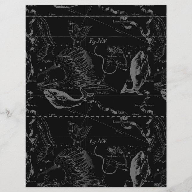 Constellation des Poissons Hevelius 1690 sur fond  (Devant)