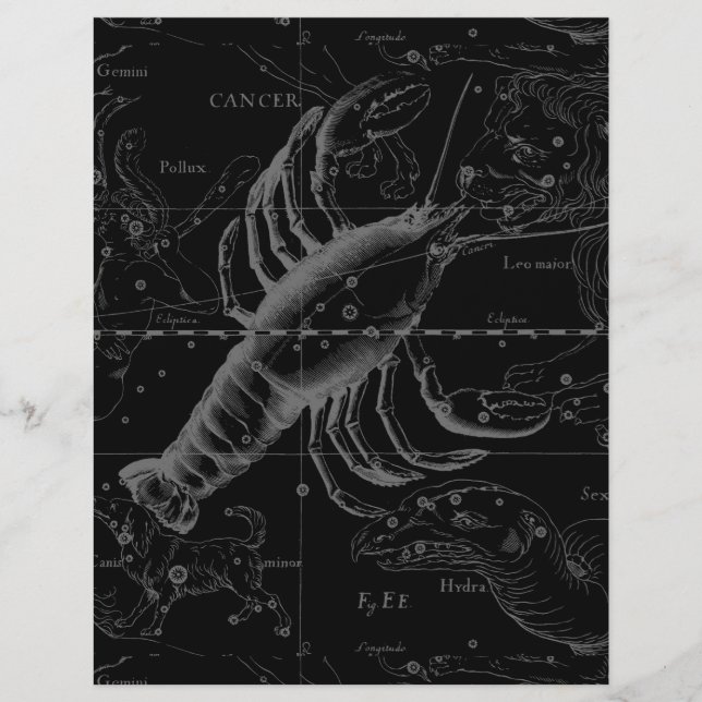 Constellation du Cancer Hevelius 1690 sur fond noi (Devant)