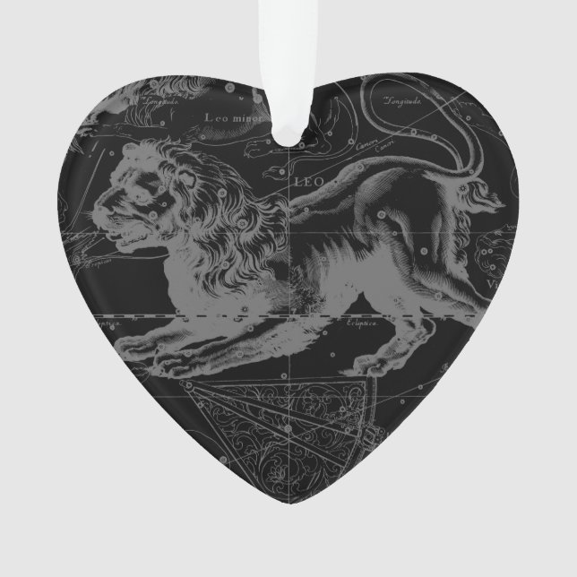 Constellation du Lion Hevelius 1690 23 juillet - 2 (devant)