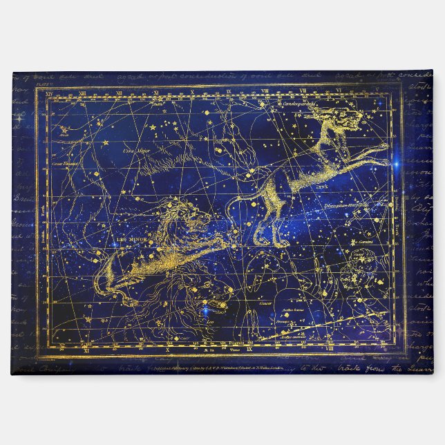 constellation du petit lion aimant (Recto)