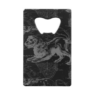 Constellation Hevelius de Lion 1690 July23 - 22