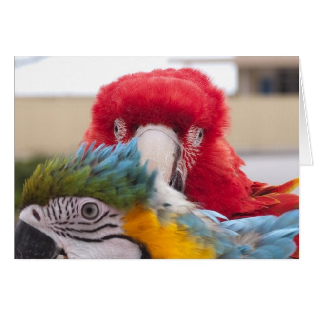 Consultez un livre (Devant Horizontal)