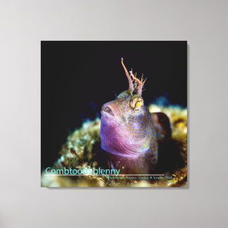 Contemplateur d'étoiles depuis une impression sur