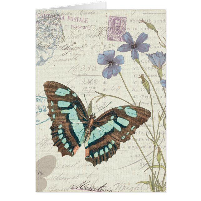 Contes de Papillon (Devant)