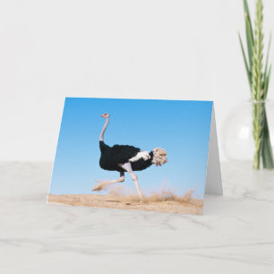 Continuer à utiliser la carte d'autruche