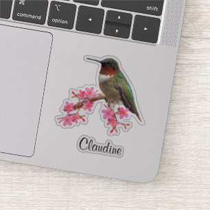 Contour Fleurs roses et Stickers Vinyle Colibris