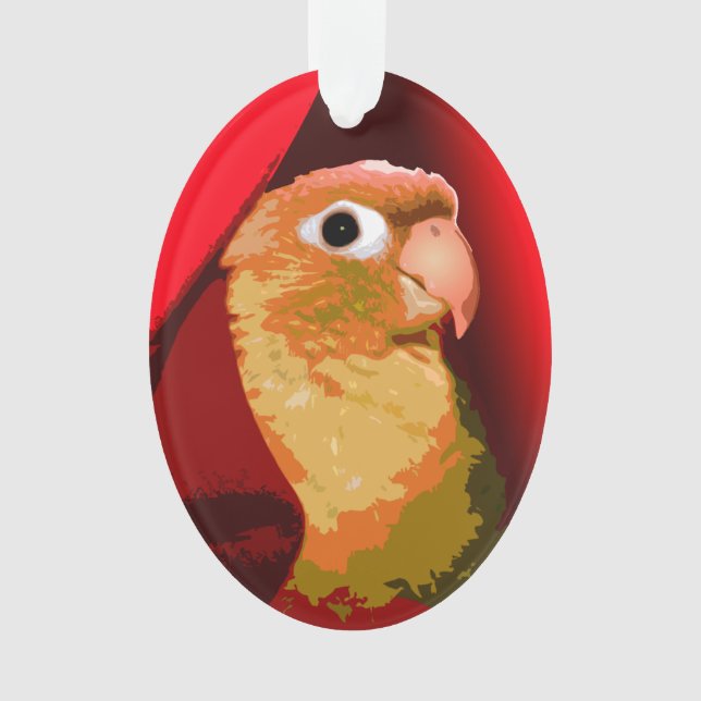 Conure Joues Vertes Perruche Câlins Oiseau de Comp (devant)