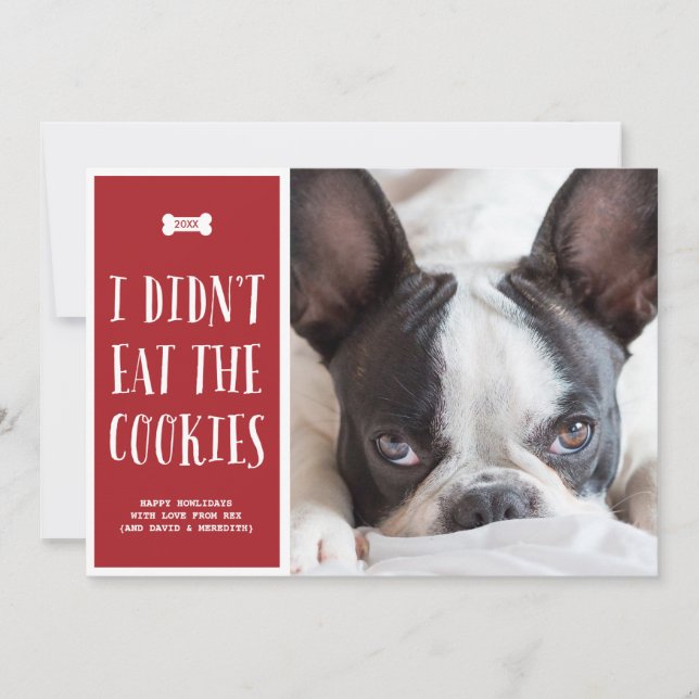 Cookies | Carte photo de vacances pour animaux de  (Devant)