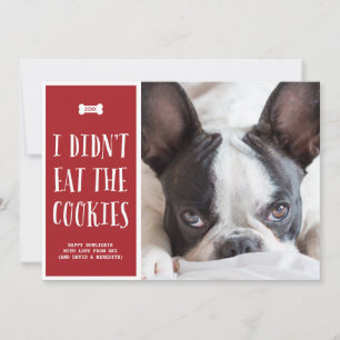 Cookies   Carte photo de vacances pour animaux de