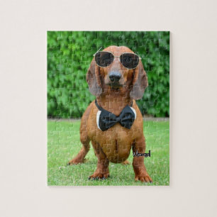 Cool avec Sunglass Dachshund chien 110 puzzle