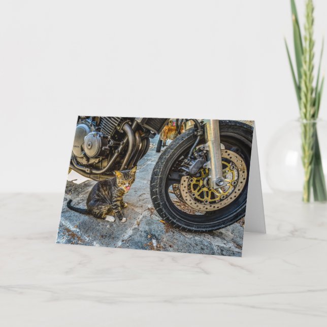 Cool chat moto drôle de carte de voeux (Devant)