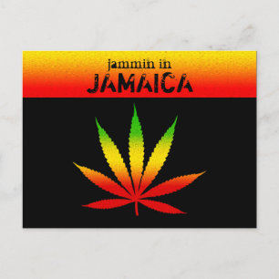 Cool Jammin en Jamaïque Reggae Rasta Carte Postale