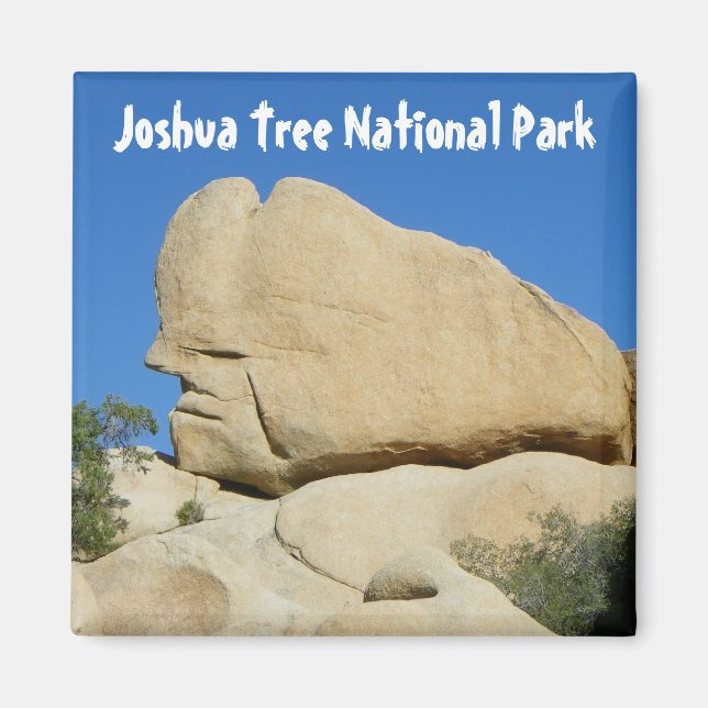 Cool Joshua Tree Park Magnet ! (Devant)